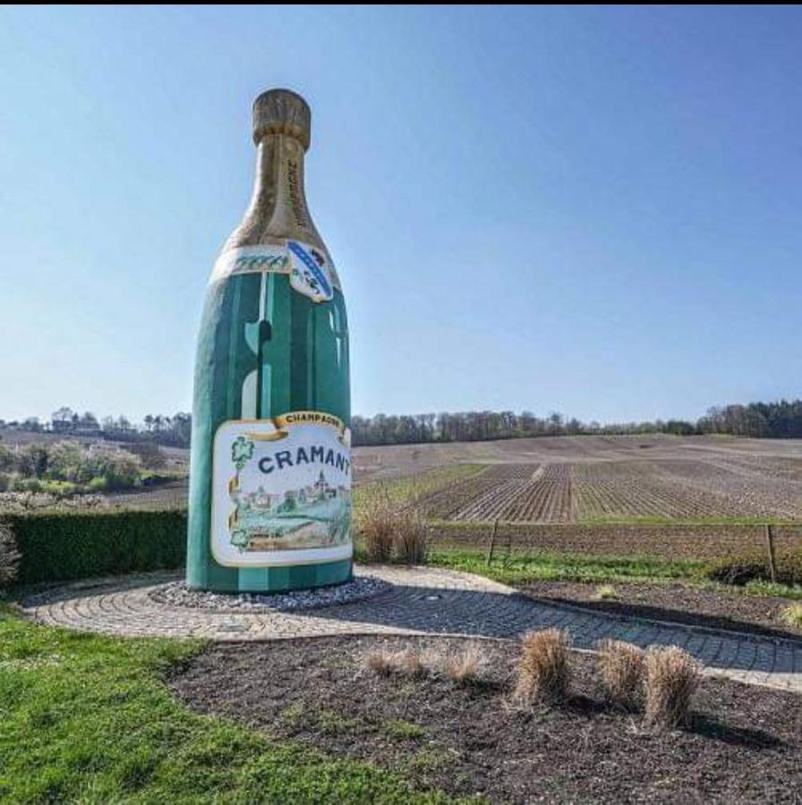 Gite En Champagne Le Sarment Cramant Exterior foto