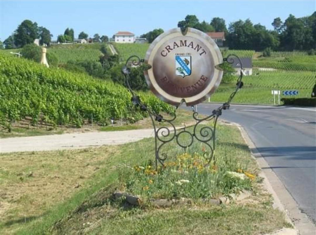 Gite En Champagne Le Sarment Cramant Exterior foto