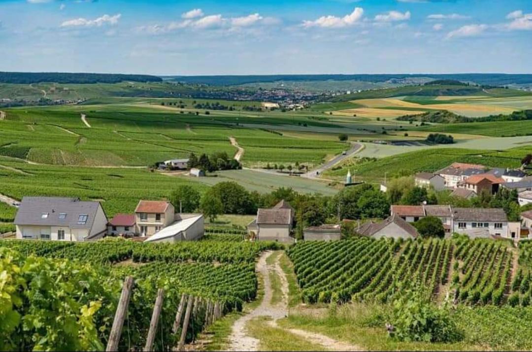 Gite En Champagne Le Sarment Cramant Exterior foto